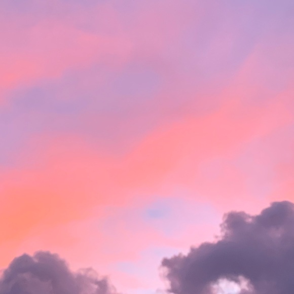 Meet your Posher, Shannon - Picture 3 of 4